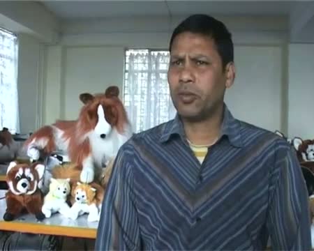 Watch Sikkim girls make soft toys for self reliance Video