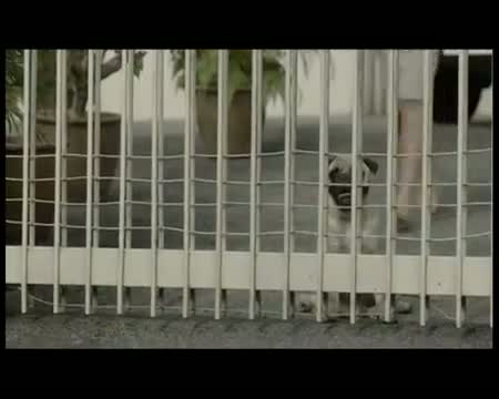 Watch Vodafone Network - Hear Every Sound 2012 Ad Video