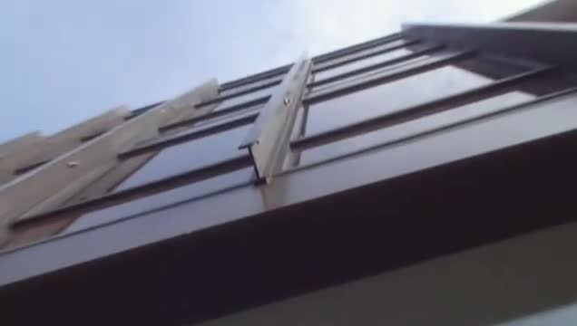 Watch Ludwig Mies van der Rohe is everywhere video Video