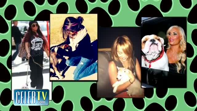 Watch Miley Cyrus, The Obamas & More Celebs With Their Pups video Video