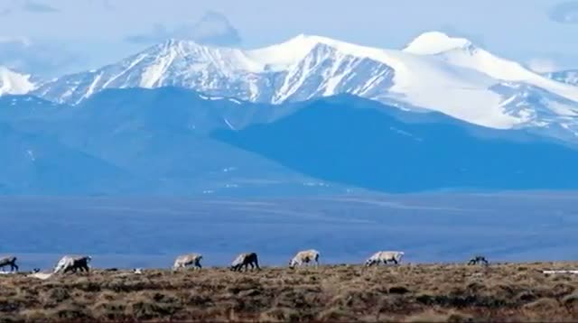 Watch Today in History, Friday, March 30th Video