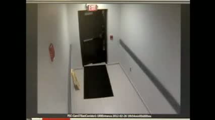 Watch Raw Video - Zimmerman at Fla. Police Station Video