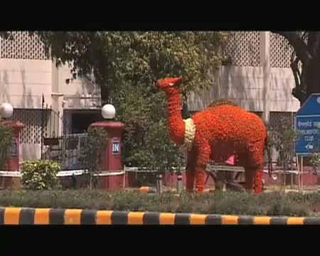 Watch Delhi turns more beautiful for BRICS Video