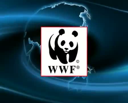Watch Delhiites observe Earth Hour Video