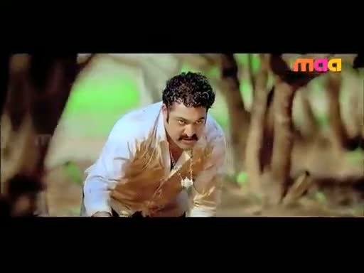 Watch Dammu Theatrical Trailor Video