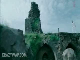 Watch TDPIC Video
