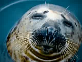 Watch EARTH DAY 2012 SONG FOR EARTH DAY EVENTS Video
