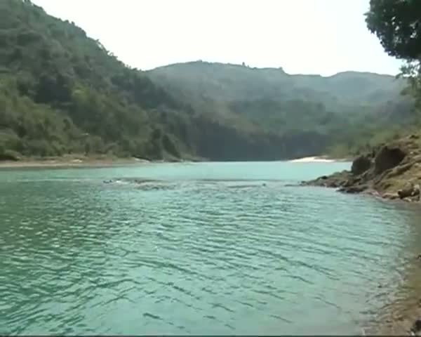 Watch Fishes found dead in Ranikor allegedly by chemical Video