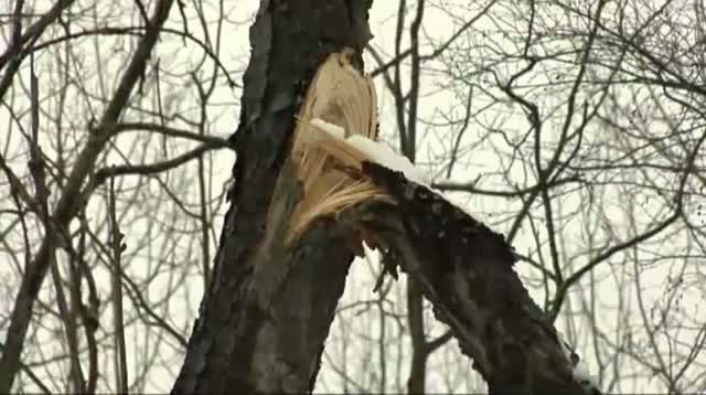 Watch Raw Video - April Nor'easter Dumps Snow on Pa. Video