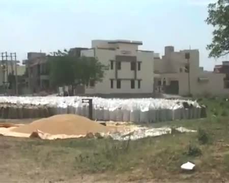 Watch Tons of wheat dumped in residential colony in Ambala Video