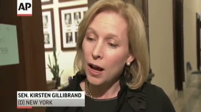 Watch After Bird Strikes, More Prevention Sought in NY Video