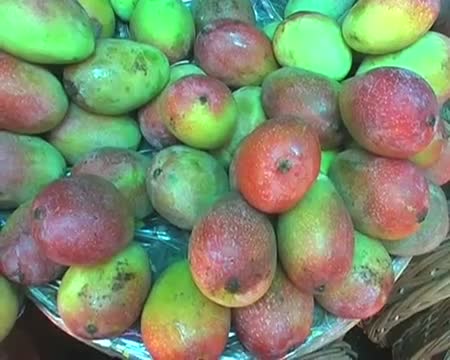 Watch Mango rates worrying Aam Admi Video