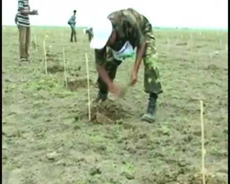 Watch Army engages in a green battle Video