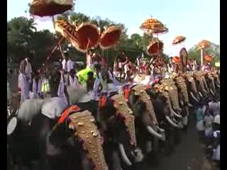 Watch Devotees celebrate 'Thrissur Pooram' in Kerala Video