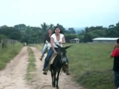 Watch Donkey Riders Video