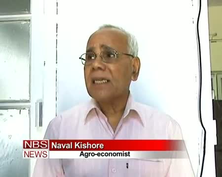 Watch Govt in dilemma over bumper wheat production Video