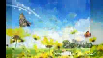 Watch Mothers Day Flowers - Happy Mothers Day 2012 Ideas and Gifts Video