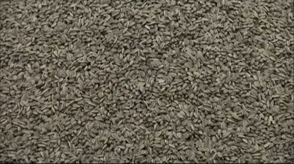 Watch Weiwei's Sunflower Seeds Highlight Art Sale Video