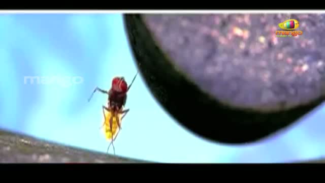 Watch Eega Official Trailer 2 - Samantha Nani Rajamouli - Eega Theatrical Trailers - Telgu Cinema Video