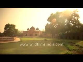 Watch Humayun's Tomb, Delhi! Video