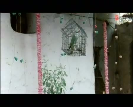 Watch Tohar Bidai (Full Bhojpuri Shaadi Video Song) Prem Pujaran Video