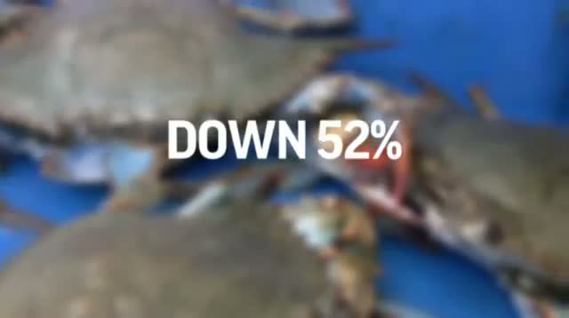 Watch Gulf Fishermen Reel From Seafood Troubles Video