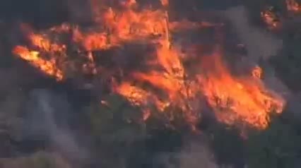 Watch Forest Fire Becomes New Mexicos Largest Ever. Video