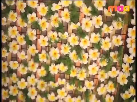 Watch Ramcharan Upasana Wedding Stage Decoration - Telugu Cinema Movies Video