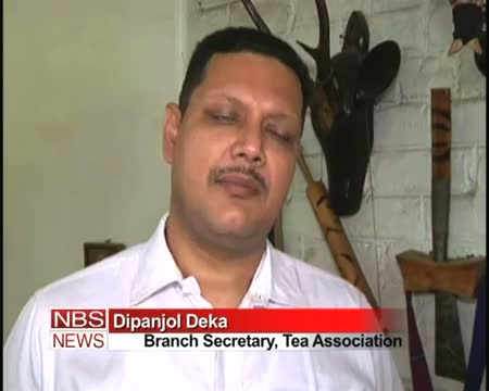 Watch Dooms day nearing for Assam Tea? Video