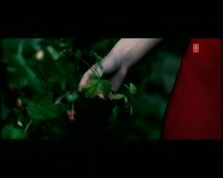 Watch Soniye Dil Nahi Lagda Tere Bina (Full Song) - Feroz Khan Video