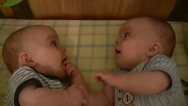 Watch Twin Baby Boys Laughing at Each Other Video