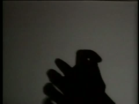 Watch Rao - Hand Shadows 2- Funny Video Video