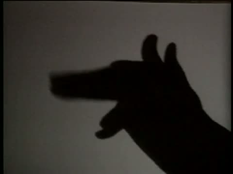 Watch Rao - Hand Shadows - Funny Video Video
