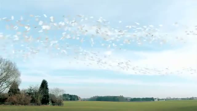 Watch The Future of our Mobillity. Today - White Paper on Transport - Funny Video Video
