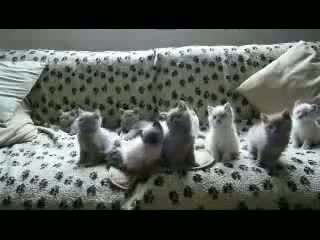 Watch Wooowww Nice - Funny Video Video