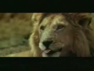 Watch What will be Happen Aftar That? Video