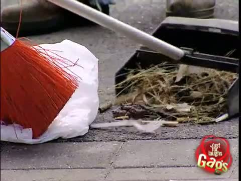 Watch Bolted Dog Poop - Funny Video Video