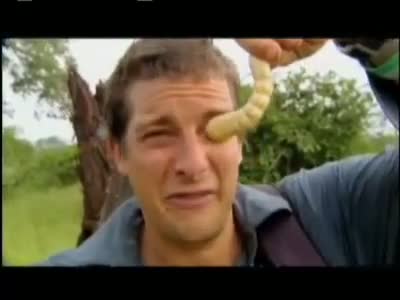 Watch Man vs. Wild - Eating Giant Larva Video