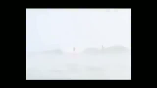 Watch Shark Jumps Over Surfer Video