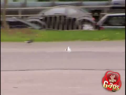 Watch Paper in the Wind Prank! Video