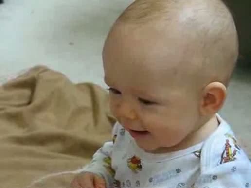 Watch  Puppies Are Funny Video Video