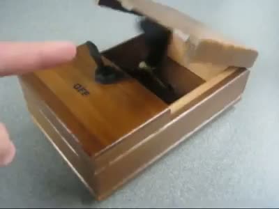 Watch Funny SWITCH ON Video