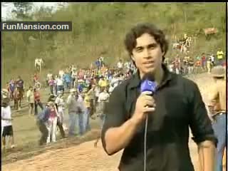 Watch What Do You Think Which One is Wrong - "Horse or Reporter" hahahah Video