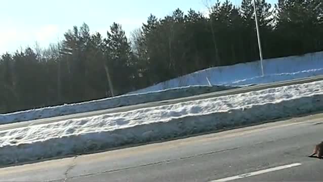 Watch Talking Beaver on the Highway Video