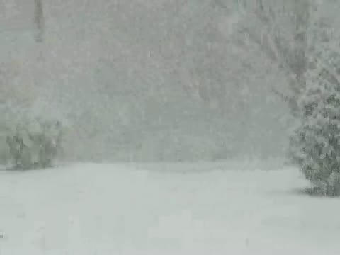 Watch Blizzard Heavy Snow Video Video