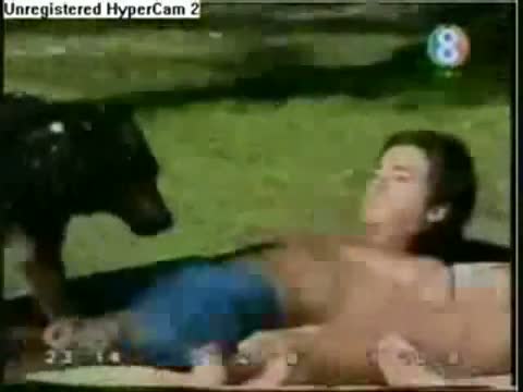 Watch Funny Dog! Video