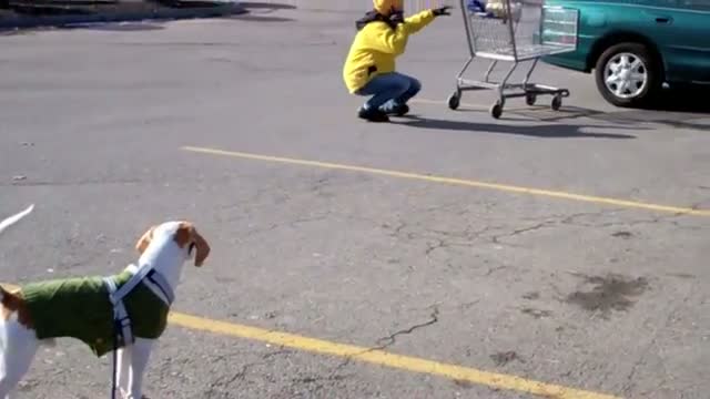 Watch Tumble at the Supermarket Video