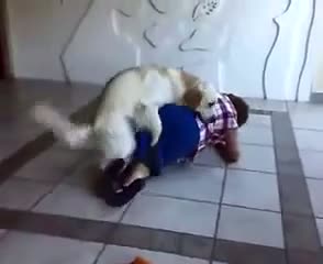 Watch What is Doing?? Video