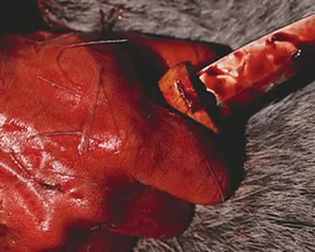 Watch Males more prone to being murdered Video