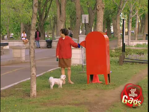 Watch Dog in Mailbox Gag - Funny Video Video